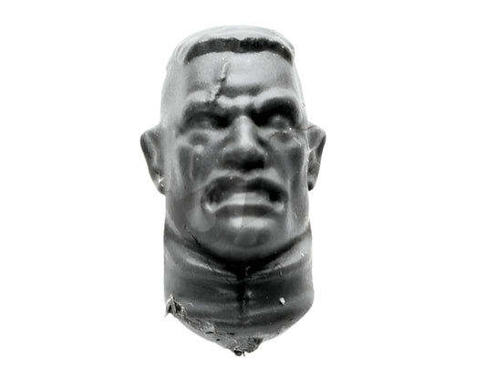 Astra Militarum Cadian Command Squad Head M