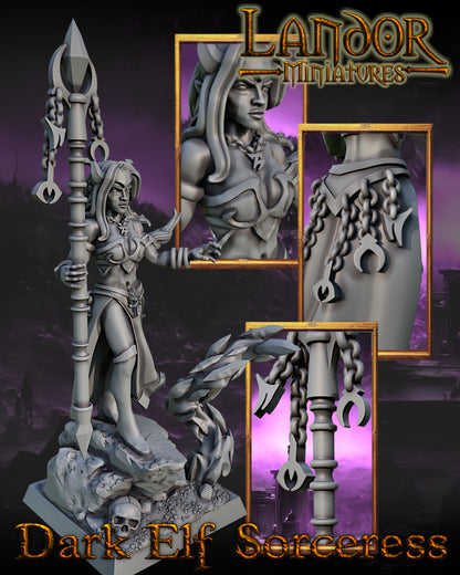 Dark Elf Sorceress