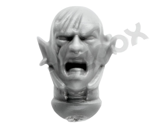 Drukhari Incubi Bare Head C