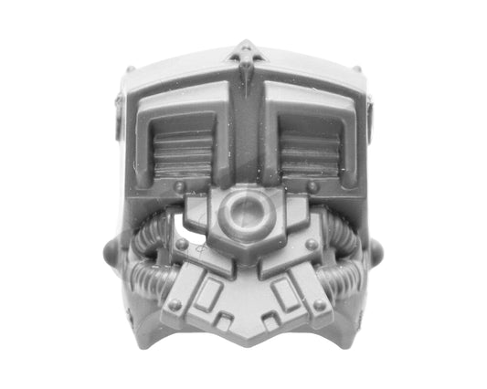 Thousand Sons Scarab Occult Terminators Torso Back