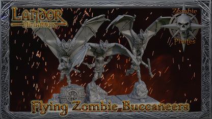 Flying Zombie Buccaneers