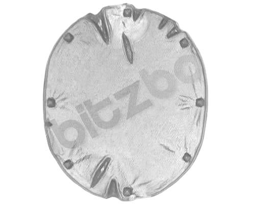 Orc and Goblin Tribes Orc Boyz Mob Shield B