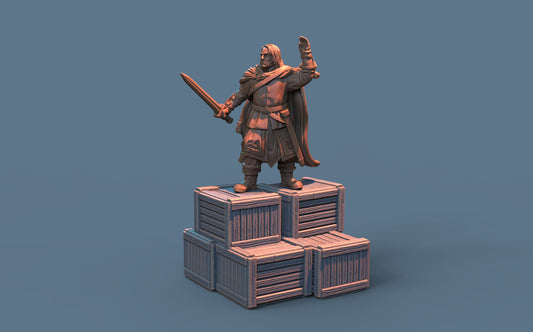 Condorr Captain